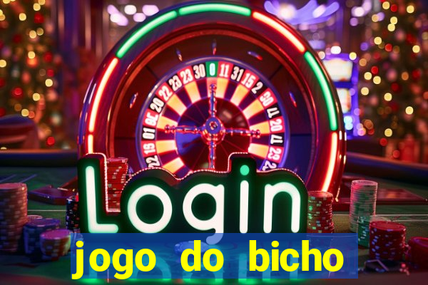 jogo do bicho crash bingo
